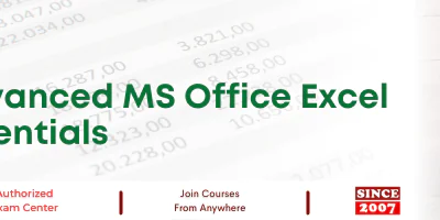 Advanced MS Office Excel Essentials