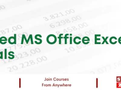 Advanced MS Office Excel Essentials